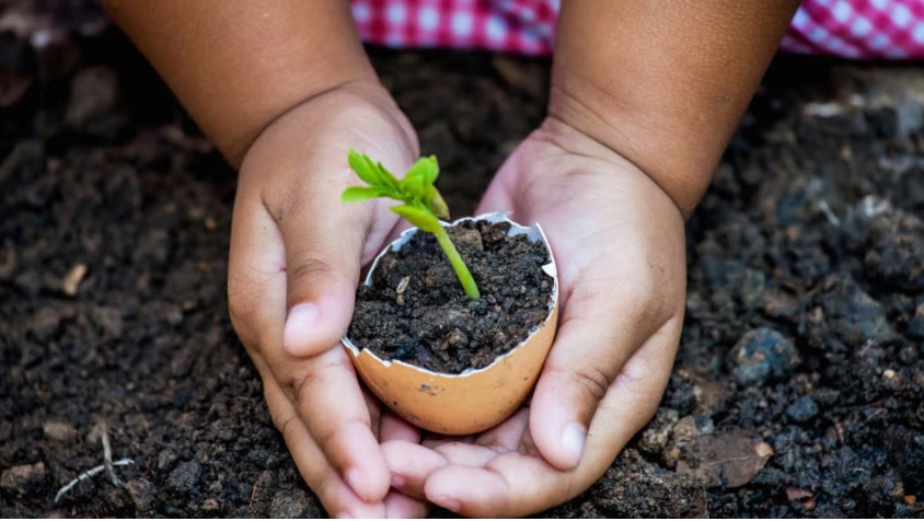 Le Secret de l'Arbre
